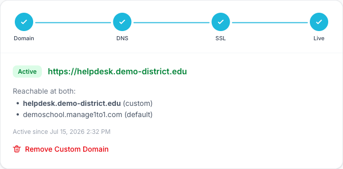 Custom Domain wizard showing the domain is active and live over HTTPS