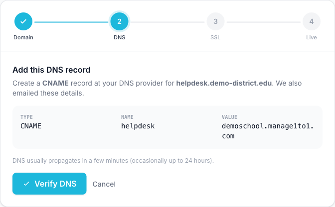 Custom Domain wizard showing the CNAME record details to add at your DNS provider and a Verify DNS button