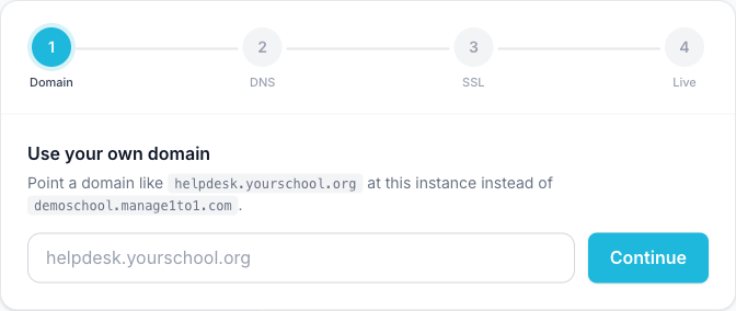 Custom Domain setup wizard showing the first step where you enter your own domain